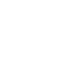 Icon for ENVIRONMENTAL CONCERN